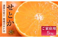 せとか バラ詰め 5kg 先行予約 2025年1月以降発送 愛媛 数量限定 愛媛県産 人気 柑橘 伊予市｜C55