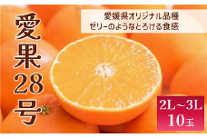 愛果28号 10玉入り 2L～3L 先行予約 12月以降順次発送予定 愛媛 数量限定 愛媛県産 人気 柑橘 伊予市｜C56