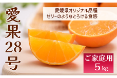 愛果28号 バラ詰め 5kg 先行予約 12月以降順次発送予定 愛媛 数量限定 愛媛県産 人気 柑橘 伊予市｜C57