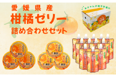 みかん 愛媛 柑橘ゼリー詰合せセット（紅まどんな、みかん、伊予柑）3種18個入り 愛媛の果実 ゼリー飲料 飲むゼリー 人気 数量限定 柑橘 お菓子 デザート フルーツ ギフト プレゼント おすすめ 伊予市｜B261