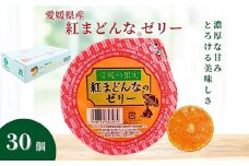 みかん 愛媛 紅まどんな®のゼリー 30個入 大容量 果肉たっぷり さっぱり 美味しい おいしい 人気 数量限定 柑橘 お菓子 デザート フルーツ ギフト プレゼント おすすめ  伊予市｜C60