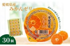 みかんゼリー 30個 大容量 みかん 柑橘 ゼリー フルーツゼリー 果物 果肉 果汁 数量限定 お菓子 おやつ デザート お取り寄せ スイーツ ギフト 贈答用 プレゼント まとめ買い 愛媛 伊予市 | B259