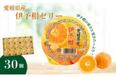 伊予柑ゼリー 30個 大容量 みかん 伊予柑 柑橘 みかんゼリー ゼリー フルーツゼリー 果物 果肉 果汁 数量限定 お菓子 おやつ デザート お取り寄せ スイーツ ギフト 贈答用 プレゼント まとめ買い 愛媛 伊予市 | B260
