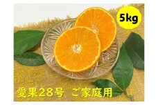 訳あり 愛果28号 5kg バラ詰め ご家庭用 サイズミックス 農園直送 先行予約 12月発送 愛媛 数量限定 愛媛県産 人気 柑橘 伊予市｜B274