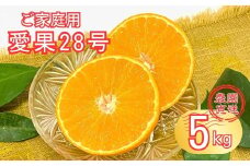 訳あり 愛果28号 5kg バラ詰め ご家庭用 サイズミックス 農園直送 先行予約 12月発送 愛媛 数量限定 愛媛県産 人気 柑橘 伊予市｜B274