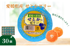 みかん 愛媛 せとかのゼリー 30個 大容量 果肉たっぷり 美味しい おいしい 人気 数量限定 柑橘 お菓子 デザート フルーツ ギフト プレゼント おすすめ 伊予市｜C59