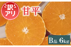 訳あり 甘平 B品 6kg 愛媛 みかん 数量限定 先行予約 柑橘 伊予市 【1月下旬～2月中旬頃発送予定】｜C61