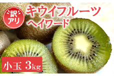 訳あり キウイ 3kg 小玉 愛媛 国産 キウイフルーツ 規格外 数量限定 伊予市 【2024年11月配送】｜B264