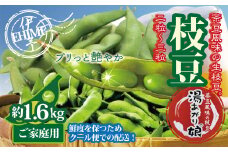 訳あり 枝豆 湯あがり娘 約1.6kg 家庭用 小分け 愛媛 伊予市｜B239