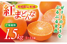 紅まどんな 愛媛 ご家庭用 1.5kg （5～13個）【先行予約】【数量限定】愛果28号 愛媛果試第28号 みかん 柑橘 人気 愛媛 伊予市＜2025年11月下旬～順次発送＞｜B249
