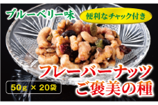 フレーバーナッツ ご褒美の種 50g×20袋 ドライフルーツ ナッツ ミックス 6種類入り ブルーベリー味 チャック付き オカベ 愛媛 伊予市｜C68