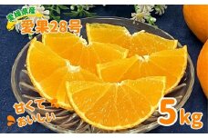 愛果28号 5kg みかん 農園直送 先行予約 12月から順次発送 愛媛 数量限定 愛媛県産 人気 柑橘 伊予市｜C92