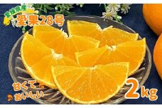 愛果28号 2kg みかん 農園直送 先行予約 12月から順次発送 愛媛 数量限定 愛媛県産 人気 柑橘 伊予市｜B333