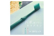 歯ブラシ 3本 （3色×1本） ホワイト グリーン ピンク お米でできた歯ブラシ キラグリン 山陽物産｜A47
