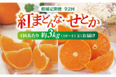 紅まどんな・せとか 青秀 定期便（全2回） 約3kg L～3L（15～10玉） 人気 数量限定 柑橘 伊予市 | D33