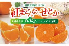 紅まどんな・せとか 青秀 定期便（全2回）【2026年12月から順次発送予定】 約3kg L～3L（15～10玉） 人気 数量限定 柑橘 伊予市 | D33