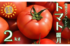 トマト 2kg 麗月 産地直送 野菜  新鮮 サラダ 赤熟 くぼなか農園 愛媛 伊予市 | A66