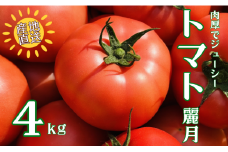 トマト 4kg 20玉～28玉 麗月 産地直送 野菜 新鮮 サラダ 赤熟 くぼなか農園 愛媛 伊予市 | B362