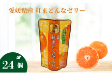 ゼリー飲料 ゼリー 飲むゼリー 紅まどんな 150g×6個×4箱 JAえひめ 愛媛の果実紅まどんなのゼリー(E-1) | C98