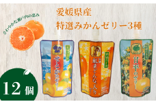 ゼリー飲料 ゼリー 飲むゼリー 愛媛 みかん 150g×12個 3種 JAえひめ 愛媛の果実 特選柑橘詰合せ (E-50) | B369