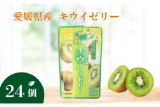 ゼリー飲料 ゼリー 飲むゼリー キウイ 150g×6個×4箱 JAえひめ 愛媛の果実ヘイワード種キウイのゼリー(E-4) ｜ B363
