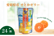 ゼリー飲料 ゼリー 飲むゼリー せとか 150g×6個×4箱 JAえひめ 愛媛の果実せとかのゼリー(E-2) | C99