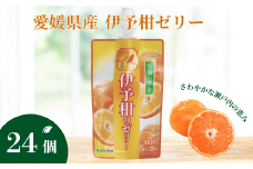 ゼリー飲料 ゼリー 飲むゼリー 伊予柑 150g×6個×4箱 JAえひめ 愛媛の果実伊予柑のゼリー (E-5) ｜ B364