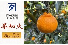 不知火 しらぬい サイズミックス 約5kg ご家庭用 みかん 愛媛 人気 柑橘 伊豫果園 伊予市｜B387