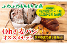 【愛媛県産大麦（はだか麦）使用】Ｏｈ！麦パン オススメセット パン 篠崎ベーカリー  詰め合わせ こだわり おすすめ 食べ比べ おやつ 朝ごはん 伊予市 老舗 | A76