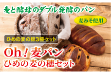 【愛媛県産大麦（はだか麦）使用】Ｏｈ！麦パン　ひめの麦の穂セット　パン　篠崎ベーカリー  詰め合わせ こだわり おすすめ 食べ比べ おやつ 朝ごはん 伊予市 老舗 | A75
