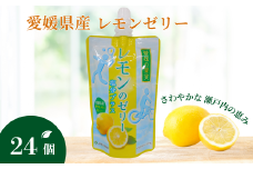ゼリー飲料 ゼリー 飲むゼリー レモン 塩分 150g×6個×4箱 JAえひめ 愛媛の果実レモンゼリー 塩分プラス (E-8)｜B367