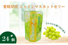 ゼリー飲料 ゼリー 飲むゼリー シャインマスカット 150g×6個×4箱 JAえひめ  愛媛の果実シャインマスカットのゼリー (E-9) ｜ B368