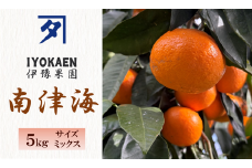 南津海 サイズミックス 約5kg ご家庭用 みかん 愛媛 人気 柑橘 伊豫果園 伊予市｜B388