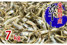 伊予煮干 いりこ 7kg 【10月以降発送】 伊予灘産 瀬戸内海 出汁 料理 おやつ カルシウム 健康 サクサク食感 海の幸 海産物 乾物 魚介類 おつまみ 保存食 特産品 愛媛 伊予市｜D47