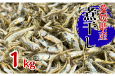 伊予煮干 いりこ 1kg 【10月以降発送】 伊予灘産 瀬戸内海 出汁 料理 おやつ カルシウム 健康 サクサク食感 海の幸 海産物 乾物 魚介類 おつまみ 保存食 特産品 愛媛 伊予市｜B421