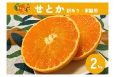 せとか みかん 2kg ご家庭用 傷あり レッスルファーム 愛媛 【2026年1月下旬順次発送】 先行予約 数量限定 おすすめ 美味しい おいしい グルメ フルーツ くだもの 愛媛県産 人気 柑橘 伊予市 ｜ A105