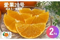 愛果28号 みかん 2kg ご家庭用 傷あり レッスルファーム 愛媛 【2025年12月中旬順次発送】 先行予約 数量限定 おすすめ 美味しい おいしい グルメ フルーツ くだもの 愛媛県産 人気 柑橘 伊予市｜A104