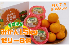 ハウスみかん&紅まどんな®のゼリー 【8月上旬から順次発送予定】人気 数量限定 柑橘 伊予市｜C126