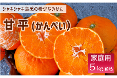 甘平 みかん 愛媛 バラ詰め 約5kg 人気 数量限定 先行予約 【2026年2月上旬以降発送】 柑橘 愛媛県産 伊予市｜C131