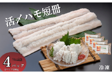 活〆鱧短冊300g×4 冷凍 鱧 ハモ 鱧短冊 北風鮮魚 愛媛県 伊予市｜B397