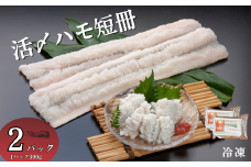 活〆鱧短冊300g×2 冷凍 鱧 ハモ 鱧短冊 北風鮮魚 愛媛県 伊予市 | B396