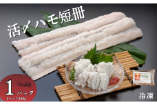 活〆鱧短冊300g 冷凍 鱧 ハモ 鱧短冊 北風鮮魚 愛媛県 伊予市 | A86