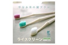 歯ブラシ お米歯ブラシ ライスクリーン やわらかめ 6本 【3色×2本】 お米でできた歯ブラシ オーラルケア ハブラシ 山陽物産｜B440