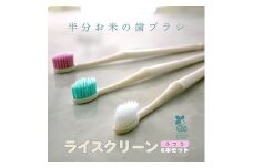 歯ブラシ お米歯ブラシ ライスクリーン ふつう 6本 【3色×2本】お米でできた歯ブラシ オーラルケア ハブラシ 山陽物産｜B439