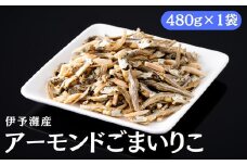 アーモンド小魚 480g×1袋 アーモンドフィッシュ アーモンドごまいりこ カルシウム 給食 オカベ 伊予灘産 伊予市 愛媛｜A108