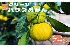 みかん 愛媛 グリーンハウスみかん 温室みかん 2kg 【8月上旬から順次発送】 夏 数量限定 柑橘 フルーツ 伊予市｜B441