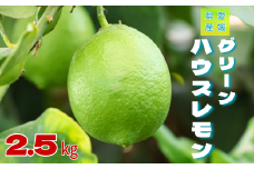 レモン グリーンレモン 愛媛 温室レモン ハウスレモン 2.5kg 【8月下旬から順次発送予定】 数量限定 檸檬 柑橘 フルーツ ビタミン 国産 伊予市｜C132