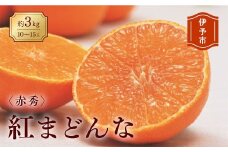 みかん 愛媛 紅まどんな 約3kg  L～3L（赤秀）【2025年12月から順次発送予定】 人気 数量限定 先行予約 柑橘 JA正規品 化粧箱入り 国産 フルーツ 果物 ギフト用柑橘 フルーツギフト 贈答用 愛果28号 えひめ中央農協  伊予市【数量限定】 | C42