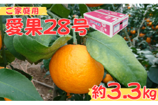 愛果28号 約3.3kg ご家庭用 みかん 柑橘 愛媛 【12月から順次発送予定】 先行予約 数量限定 人気 伊予市｜B456