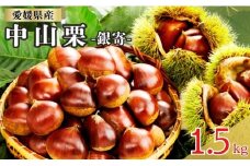 中山栗 銀寄 2Lサイズ 1.5kg 愛媛県ブランド 栗 クリ 冷蔵便 濃厚な甘み ホクホク 焼き栗 栗ごはん 中山町 伊予市 愛媛｜B463